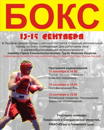 В Советском районе состоится масштабный региональный турнир по боксу В Советском районе состоится масштабный региональный турнир по боксу