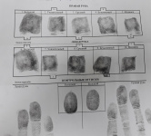 ��������� ����������� ���������� �� ���������� ���������� ������ � 11 �� 21 ������ 2021 ����