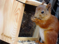 ������������ � ��������� ����� ����������