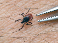 ��� ���������� �� ������ � ��� ������, ���� ������ ����