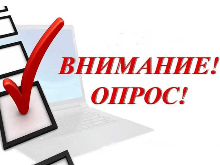 Опрос о работе Аналитического портала ФНС России