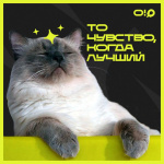 � ��� ��-�-�-�-���� ������! � �������� ��������� � ��, ������ 