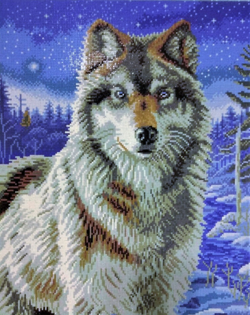 ������ ��������  ����� ����� - ��������