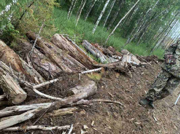 ������ ������� ������������� � ���������� ����� ������ ���������� � ��������� ������