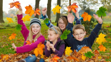 ���� ����������� �� ����������� ���������-��������� ������������ ����������  (� ������������� �������) � ������ ������� ������� � 26 ������� �� 8 ������ 2020 ����