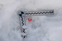 � ��������� ���������� ��� ��������� 40-������� ������ ������ �� �������� ������������� �������