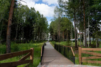 ������ �������: ��� ��������� ������� ���� �������� ����� ������� ������������� ��������� ����� ������, ������, �������, ������������ ����������� � ���������� ��������