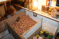 ������������ ����������� �� ���������� ����� �������� ����� ���� � 70-������� ����������